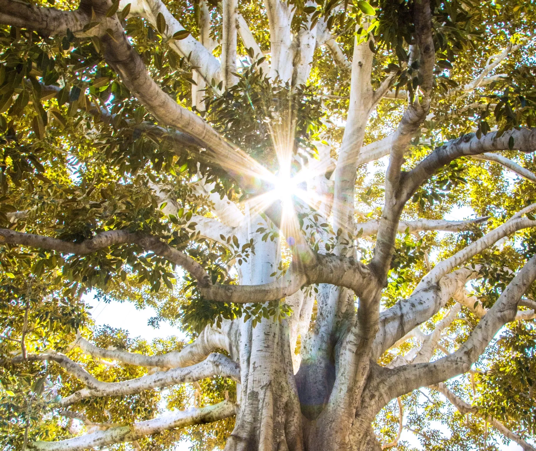 fb639531-1408-5ca9-90bb-1d0370501c61 (13)