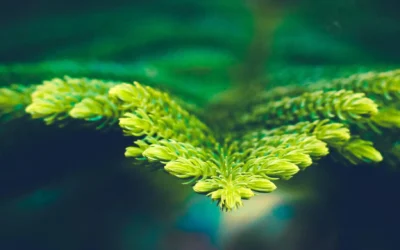 Cognitive-Behavioral Therapy