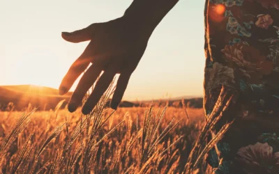 Finding Peace with PTSD in Early Recovery