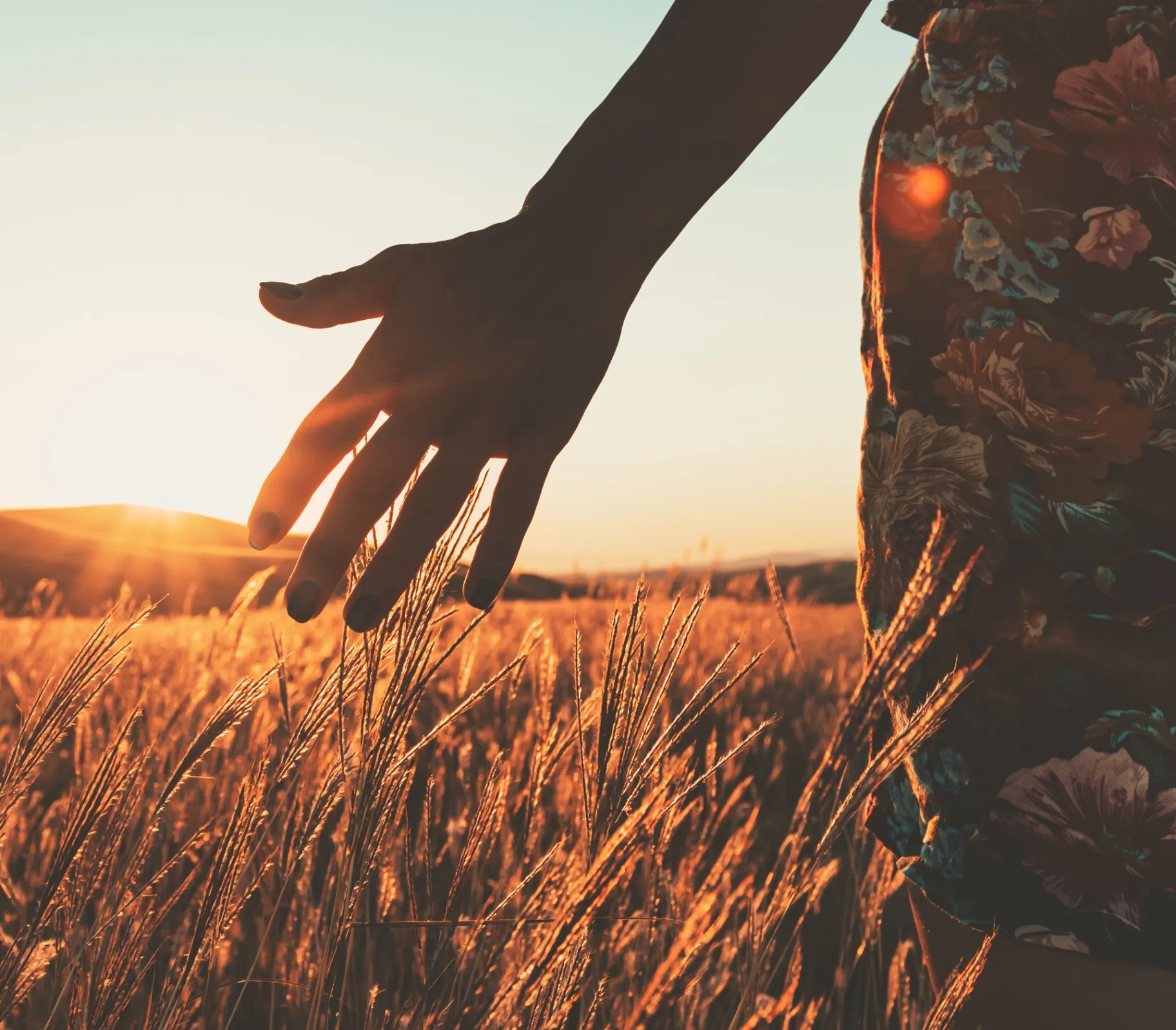 fb639531-1408-5ca9-90bb-1d0370501c61 (24)