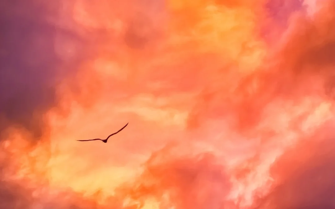 How to Cope with Change: Navigating Life’s Transitions