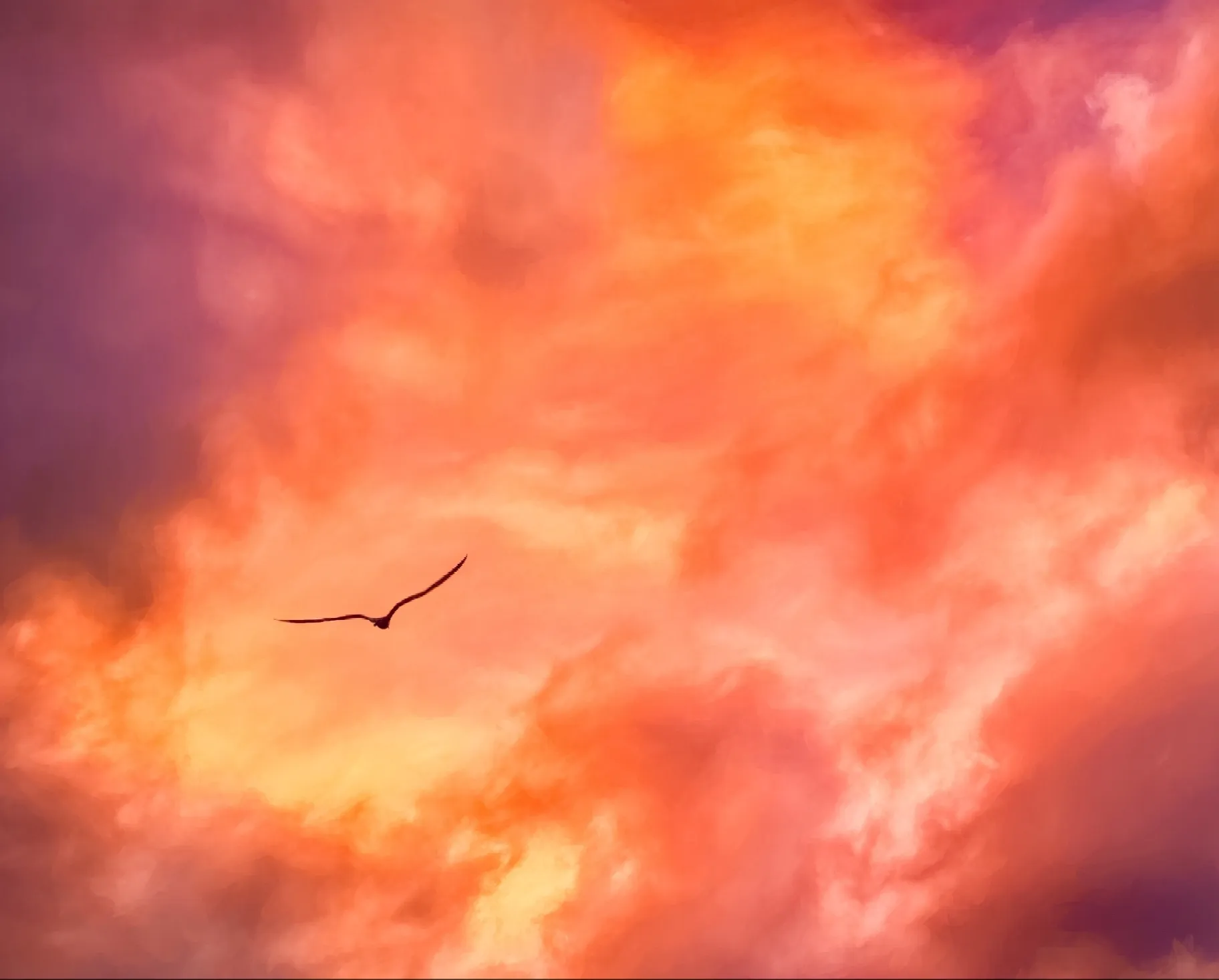 fb639531-1408-5ca9-90bb-1d0370501c61 (29)