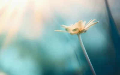 Habits for Healthy Transitions