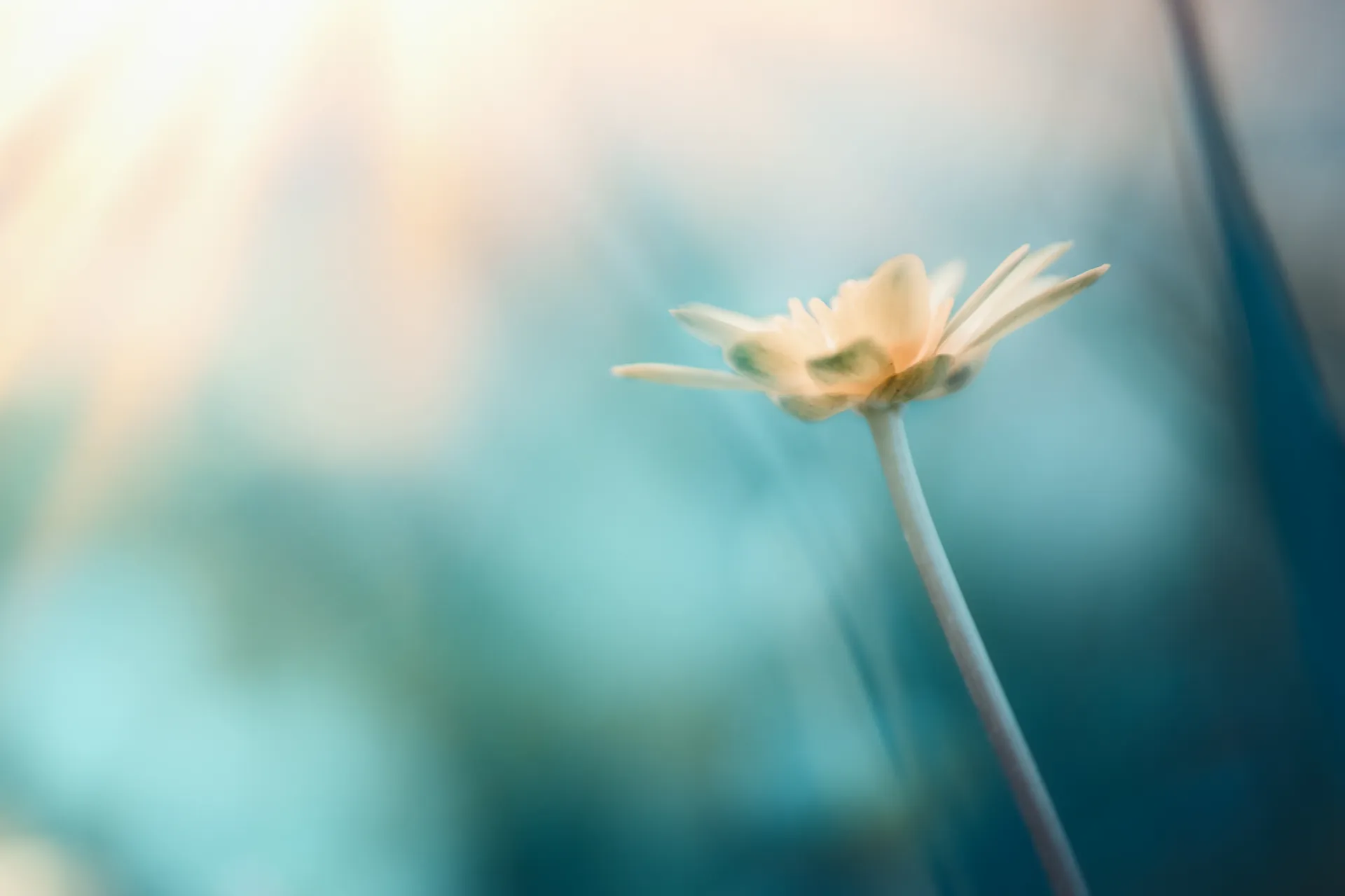 fb639531-1408-5ca9-90bb-1d0370501c61 (30)