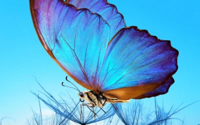 Embracing Transformation: Turning Challenges into Growth Opportunities