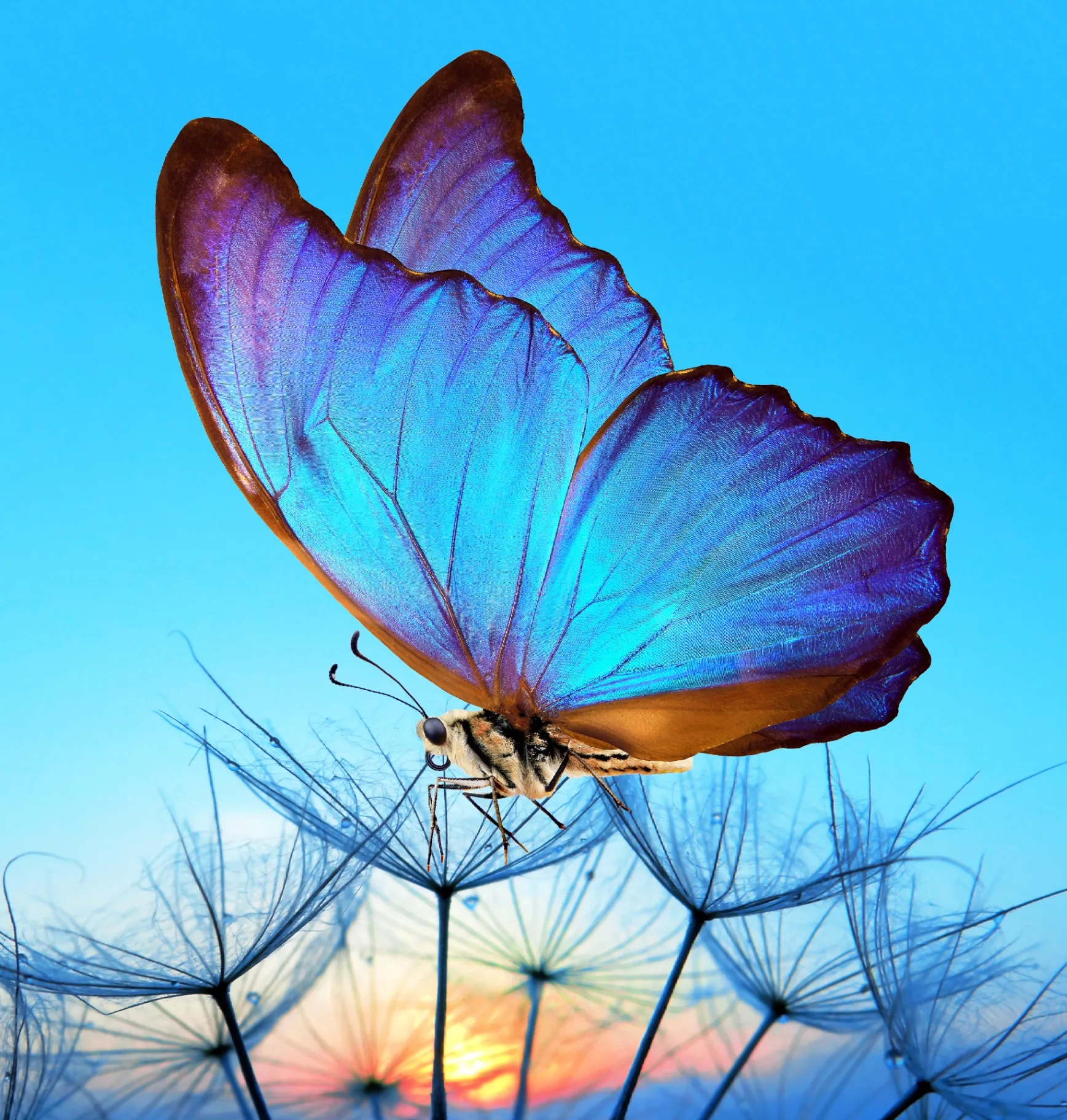 fb639531-1408-5ca9-90bb-1d0370501c61 (31)